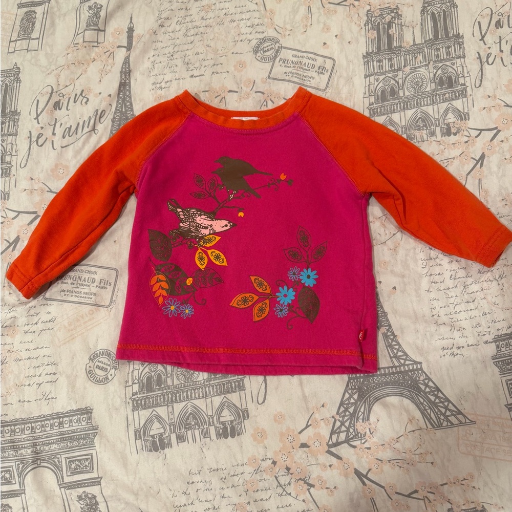 Zutano Toddler Raglan Colorblock Bird Sweatshirt size 2T